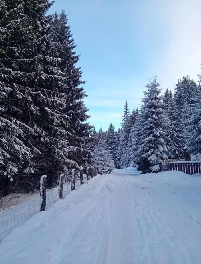 Andilak vendégház Sintimbru-Bai Extérieur photo